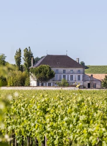 The Domaine Sazerac estate and vineyard